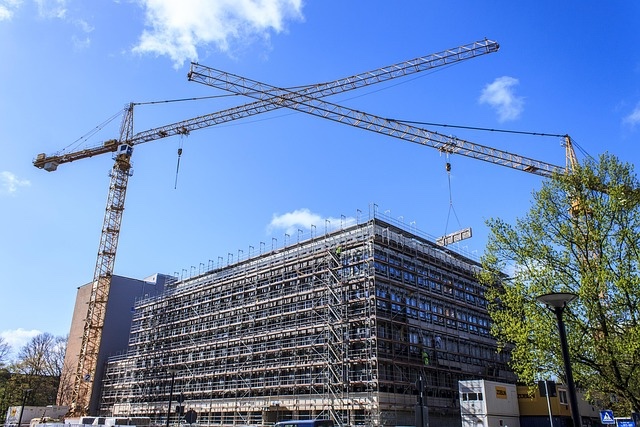 crane-325038_640.jpg